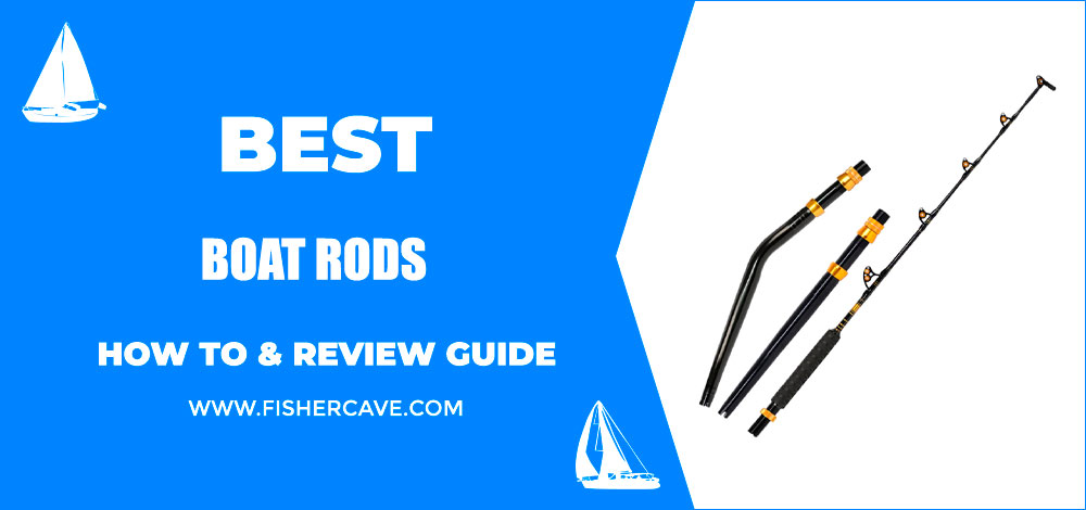 Best Boat Rods
