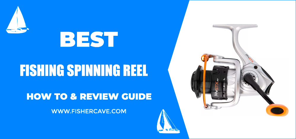 Best Fishing Spinning Reel