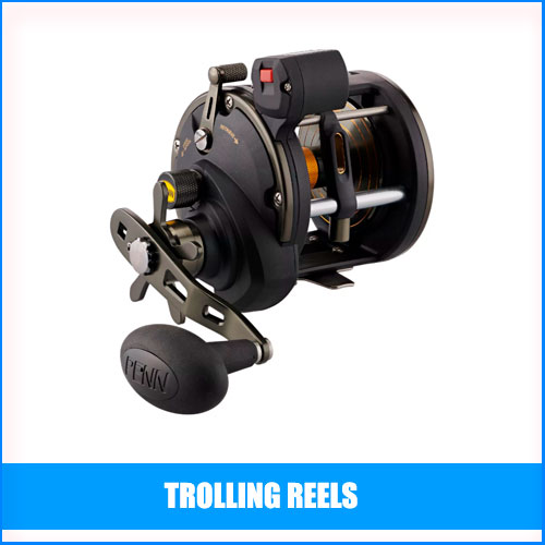 Read more about the article Best Trolling Reels
