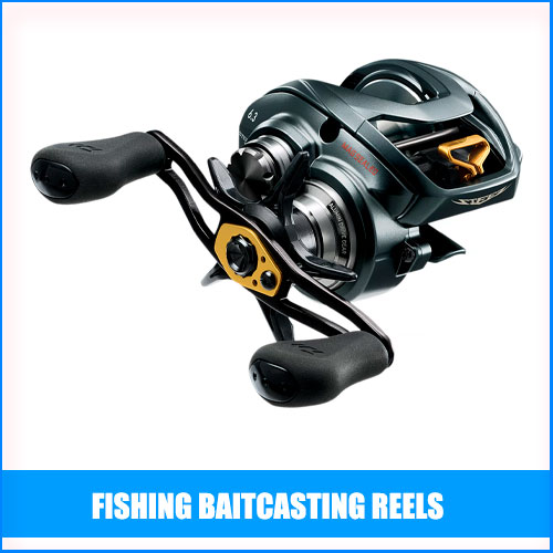 Best Fishing Baitcasting Reels