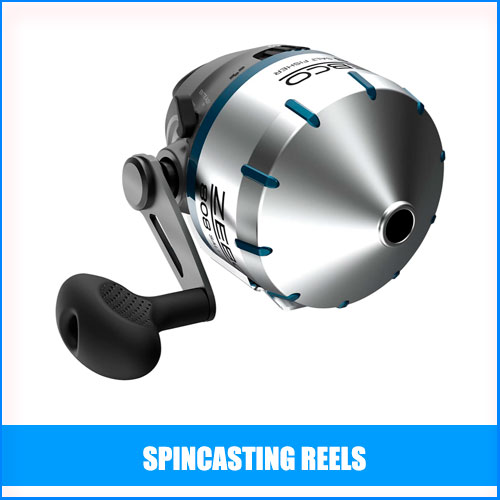 Read more about the article Best Spincasting Reels
