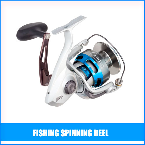 Read more about the article Best Fishing Spinning Reels