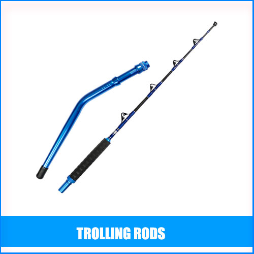 Read more about the article Best Trolling Rods