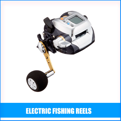 Read more about the article Best Electric Fishing Reels
