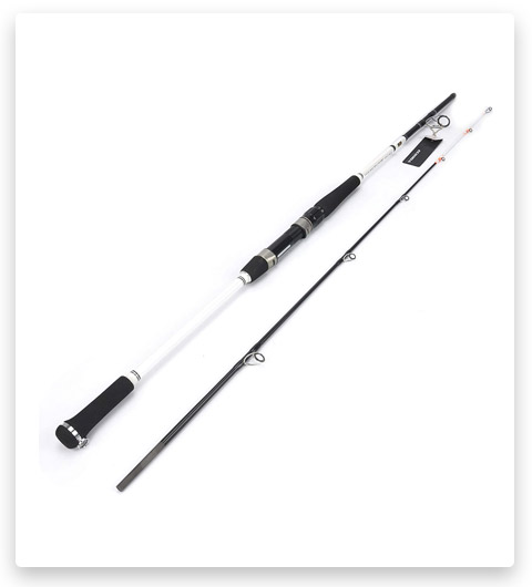 Ecooda 2-Pieces Saltwater Offshore Casting/Spinning Fishing Rod