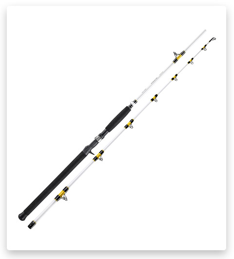 Goture Catfish Rod - 2 Piece Catfish Casting Rod for Freshwater