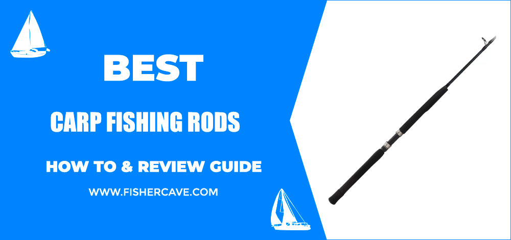 Best Carp Fishing Rods