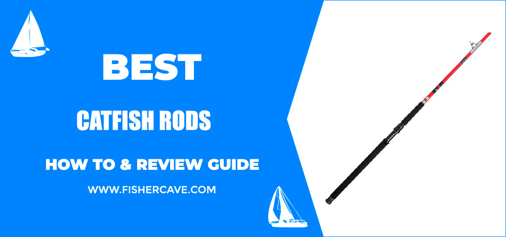 Best Catfish Rods