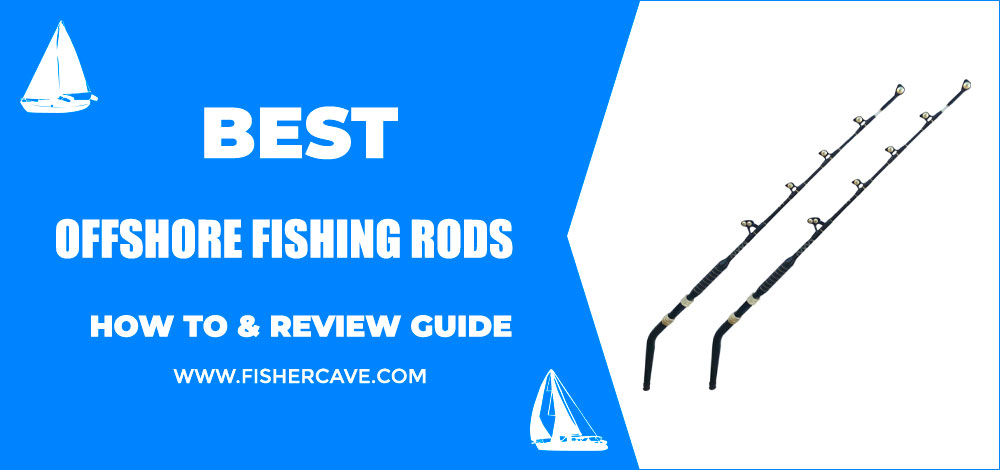 Best Offshore Fishing Rods