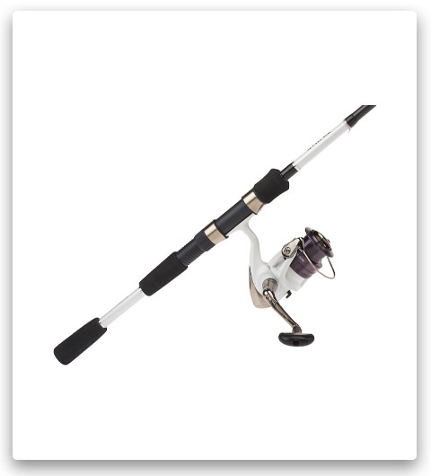 Daiwa DS-ONE Spinning Rod and Reel Combo