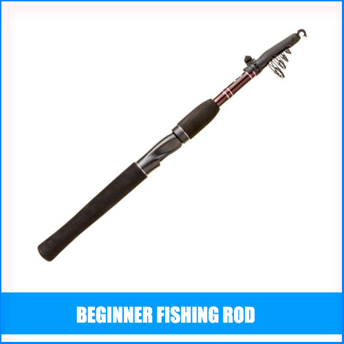 Best Beginner Fishing Rod