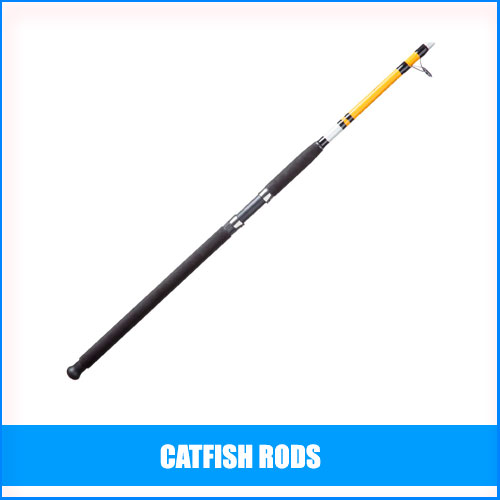 Read more about the article Best Catfish Rods