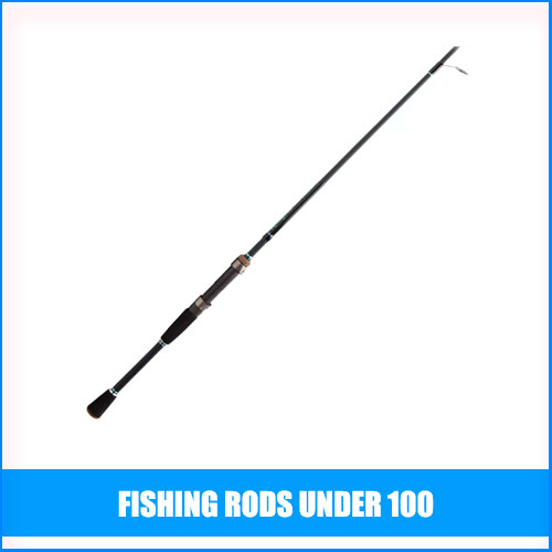 Best Fishing Rods Under 100