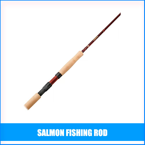 Read more about the article Best Salmon Fishing Rod