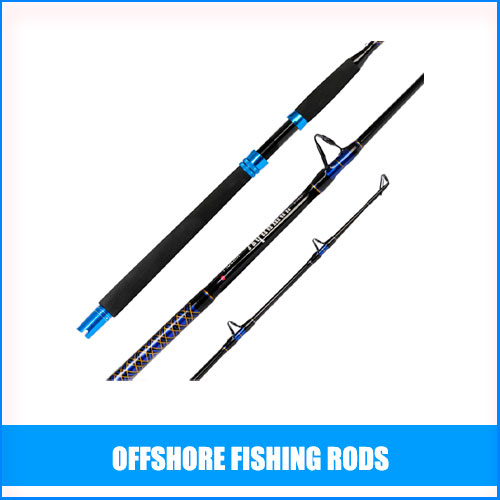 Best Offshore Fishing Rods