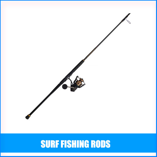 Read more about the article Best Surf Fishing Rods