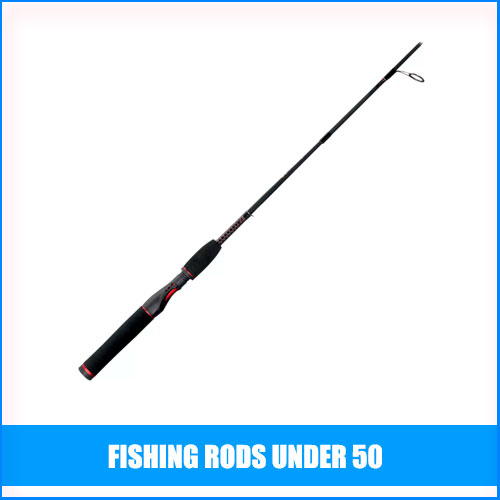 Best Fishing Rods Under 50