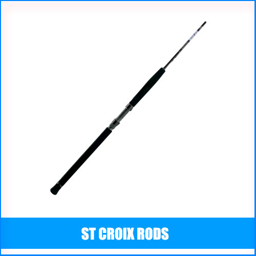 Read more about the article St Croix Rods