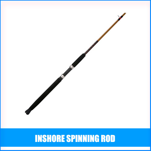Read more about the article Best Inshore Spinning Rod