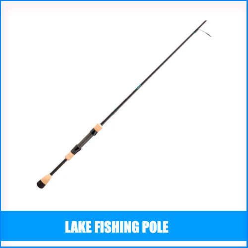 Best Lake Fishing Pole