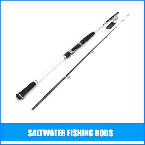 Best Saltwater Fishing Rods