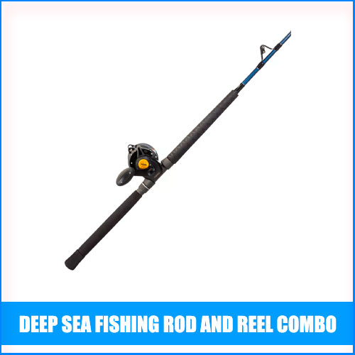 Best Deep Sea Fishing Rod And Reel Combo