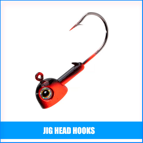 Read more about the article Best Jig Head Hooks