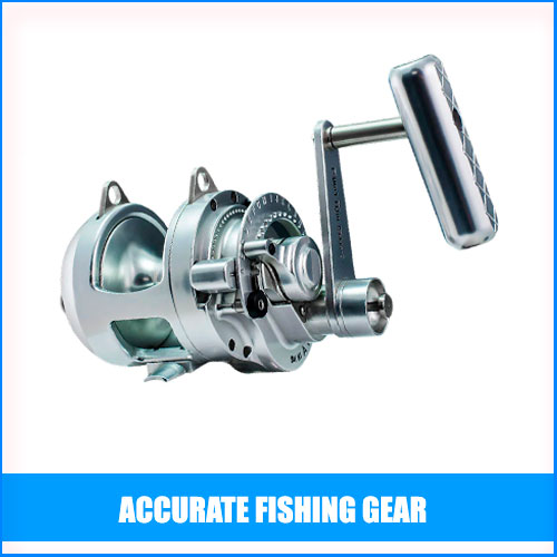 Read more about the article Accurate Fishing Gear