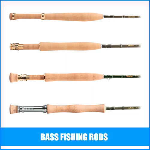 Read more about the article Best Bass Fishing Rods