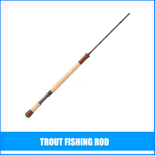 Read more about the article Best Trout Fishing Rod