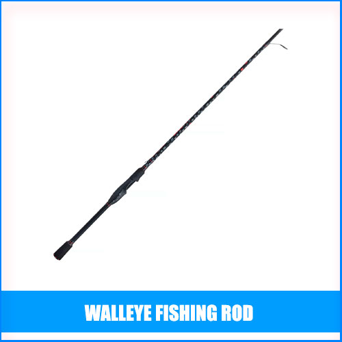 Best Walleye Fishing Rod