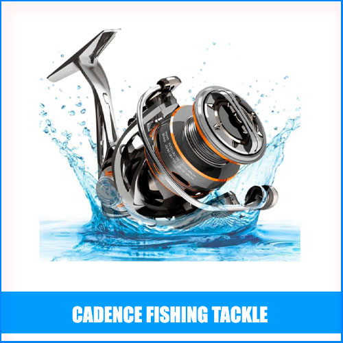 Read more about the article Cadence Fishing Tackle