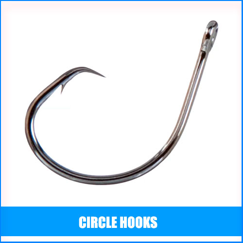 Read more about the article Best Circle Hooks