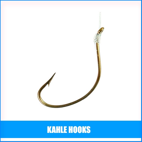 Read more about the article Best Kahle Hooks