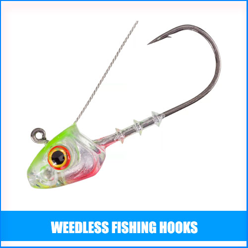 Read more about the article Best Weedless Fishing Hooks