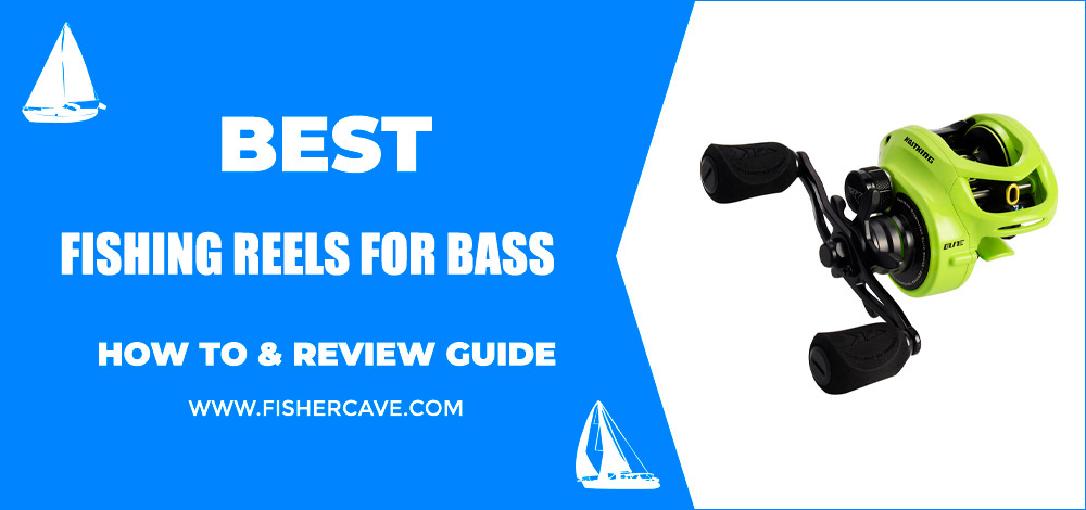 Best Fishing Reels For Bass