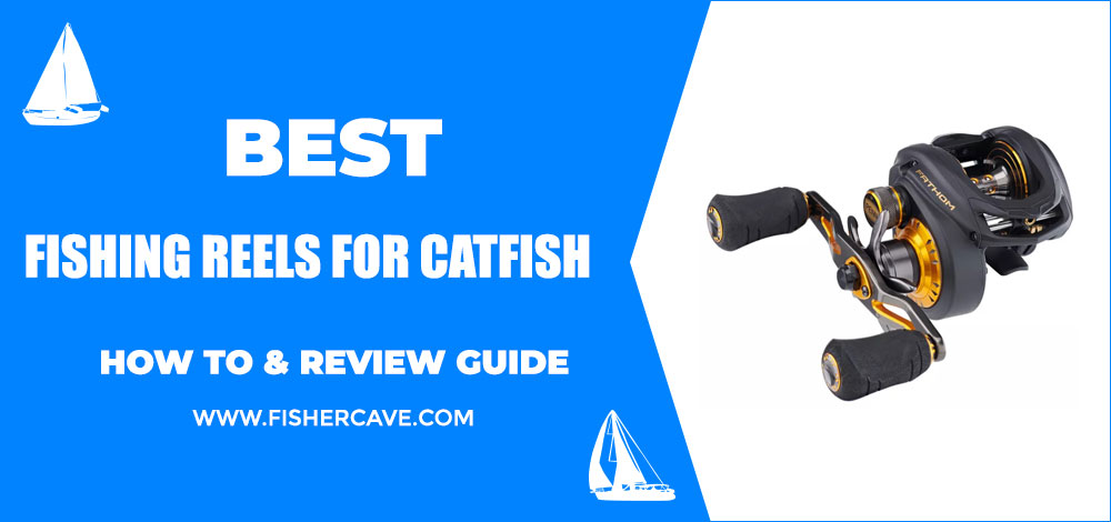 Best Fishing Reels For Catfish