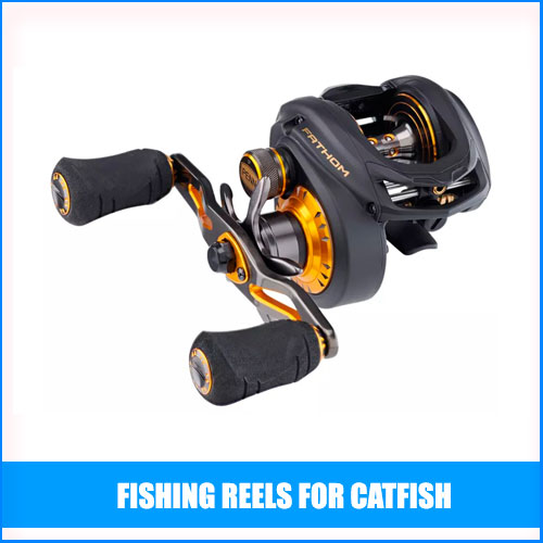 Best Fishing Reels For Catfish