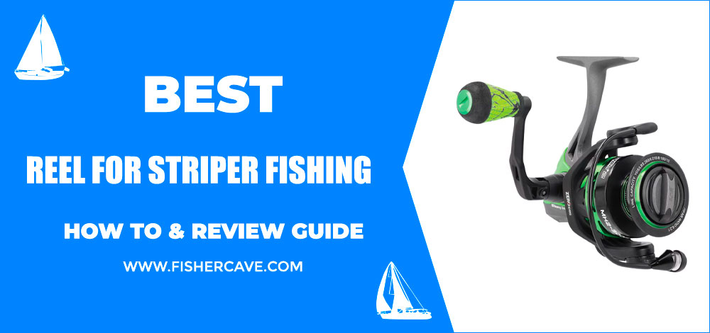 Best Reel For Striper Fishing