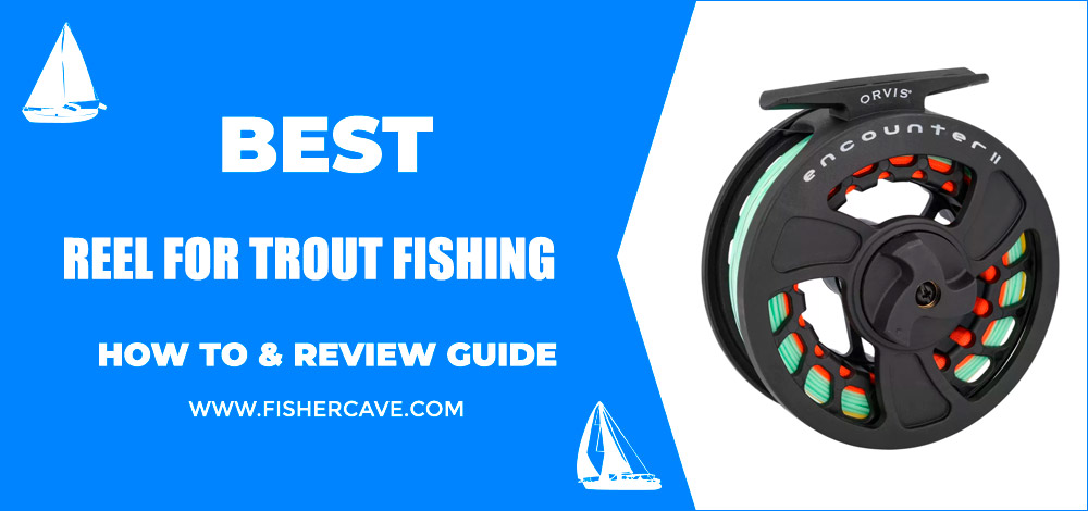 Best Reel For Trout Fishing