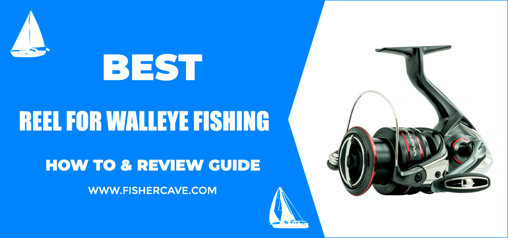 Best Reel For Walleye Fishing