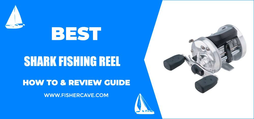 Best Shark Fishing Reel