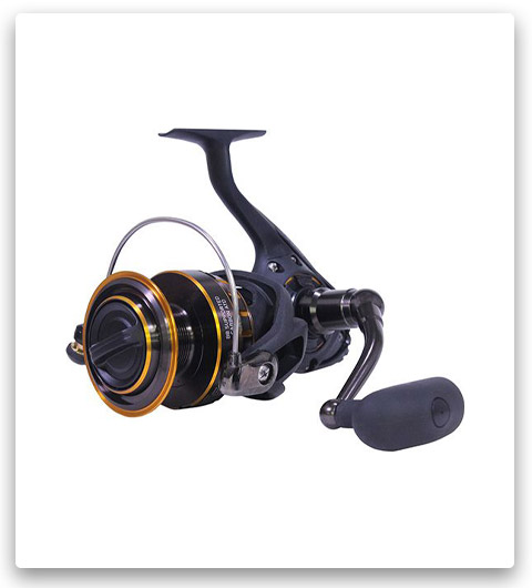 Daiwa BG Spin