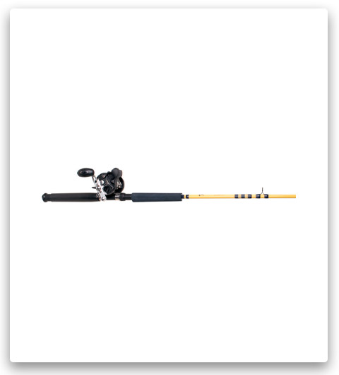 Eagle Claw Level Wind Rod Reel Combo
