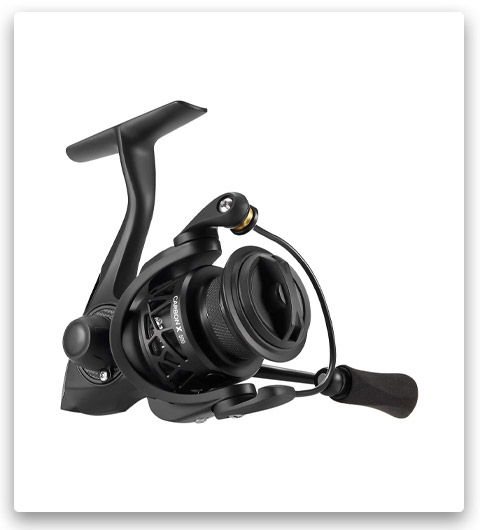 Piscifun Carbon X Light Spinning Reel