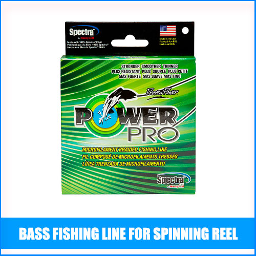 Read more about the article Best Bass Fishing Line For Spinning Reel