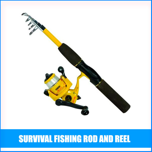 Read more about the article Best Survival Fishing Rod And Reel