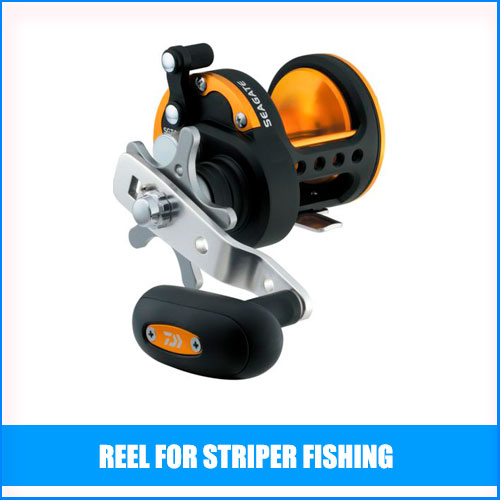 Read more about the article Best Reel For Striper Fishing
