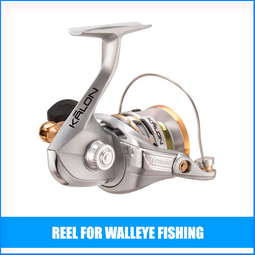 Read more about the article Best Reel For Walleye Fishing