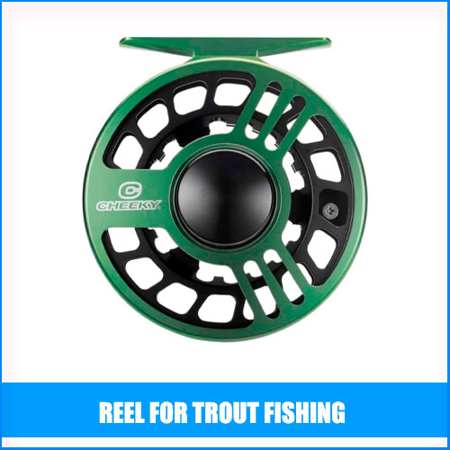 Read more about the article Best Reel For Trout Fishing